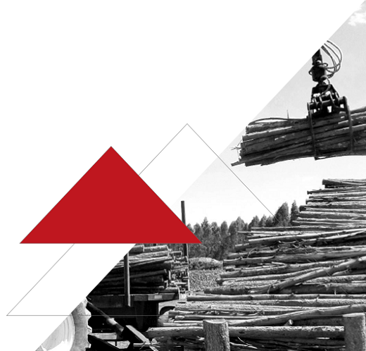 Manejo e Armazenamento